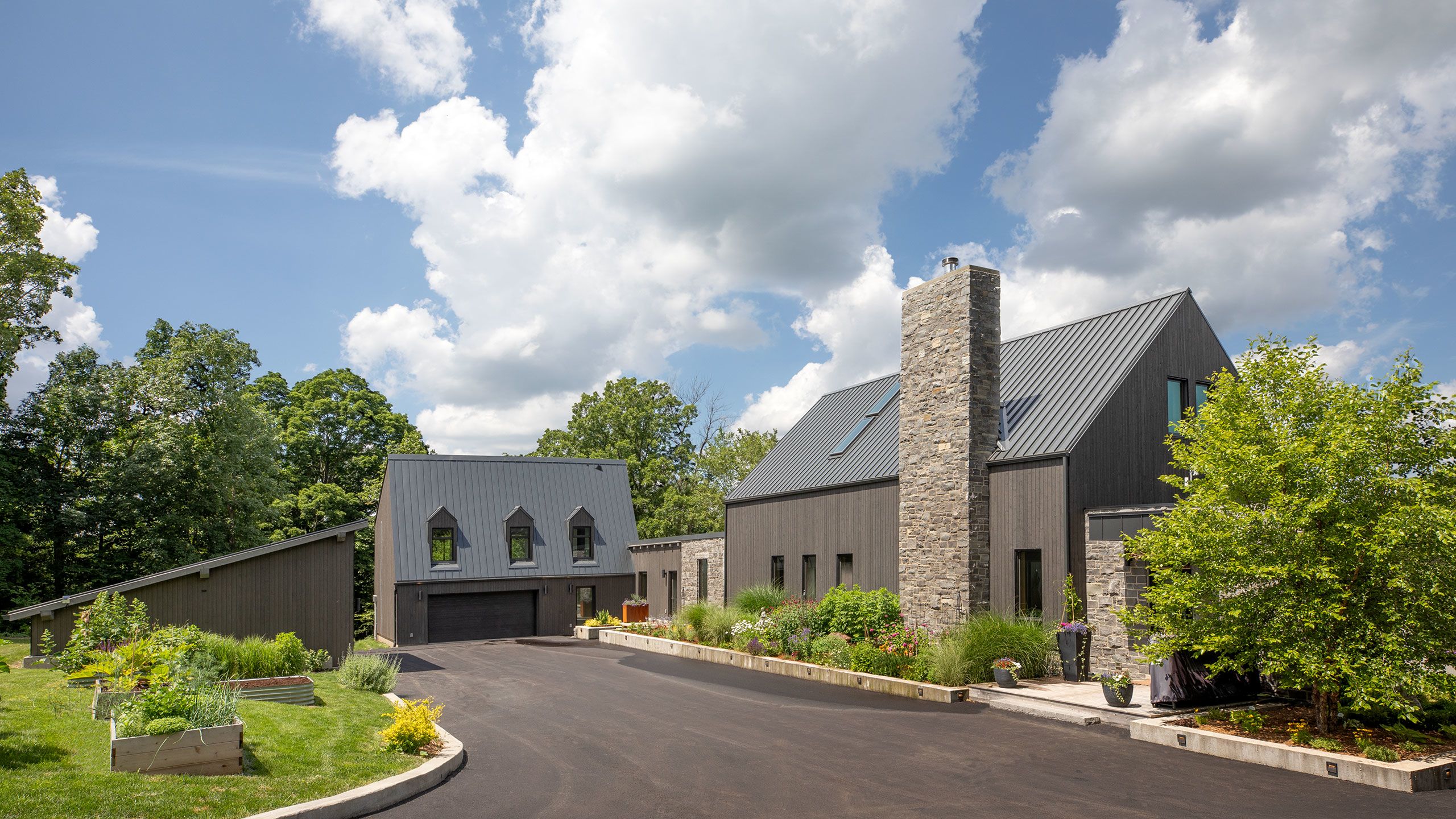 Close-up photograph of grasses in dappled light